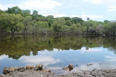 Reflection of trees in lake against sky