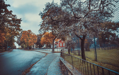 Empty road amidst trees against sky