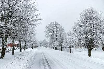 Snowy park, snow blanket covers branches of trees and bushes, foggy and grainy snow fall background