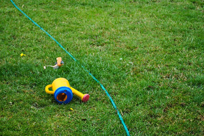 High angle view of toy playing on grass