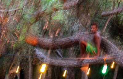 Blurred motion of man sitting by plants in forest
