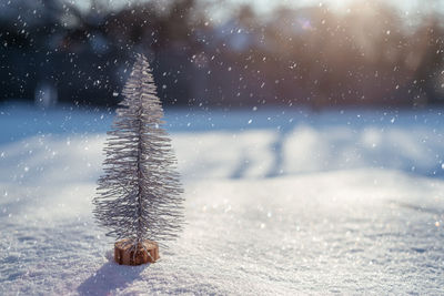 Christmas tree on the snow winter holidays background