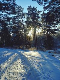 Trees on snow covered field against sky