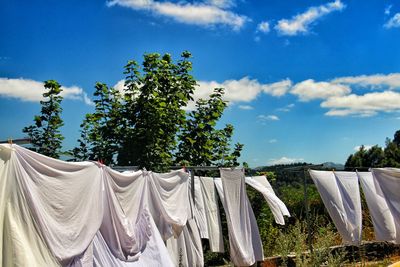 Low angle view of clothes hanging on clothesline