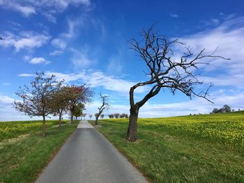 Road amidst trees on field against sky