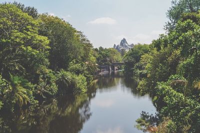 Scenic view of lake amidst trees against sky