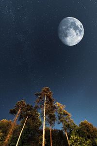 Night shot of starry skies, moon and forest underneath at old city in krapina, croatia