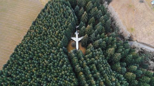 High angle view of christmas decorations