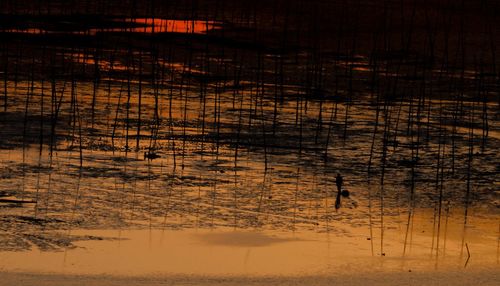 Reflection of water in lake at night