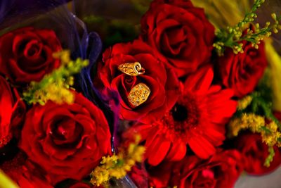 Close-up of red roses