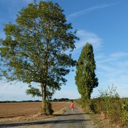 Woman on road amidst trees on field against sky