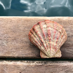 High angle view of bread on table