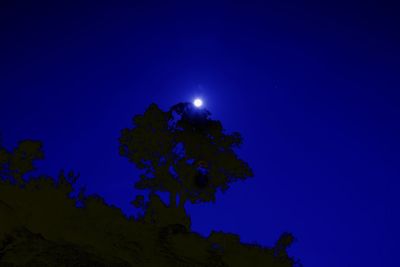 Low angle view of silhouette tree against clear blue sky