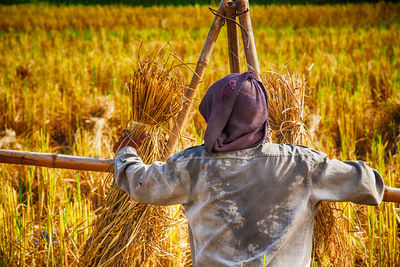 Rear view of farmer standing on field