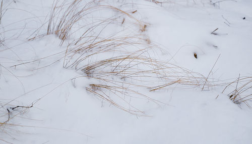 High angle view of snow covered land