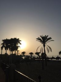 Silhouette of palm trees at sunset