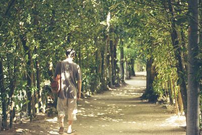 Rear view of man walking on footpath amidst trees