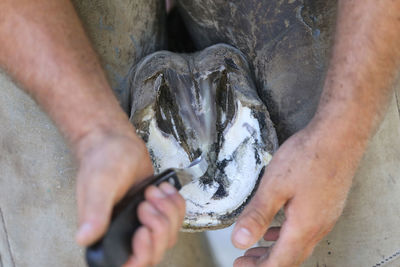 Close-up of hand holding fish