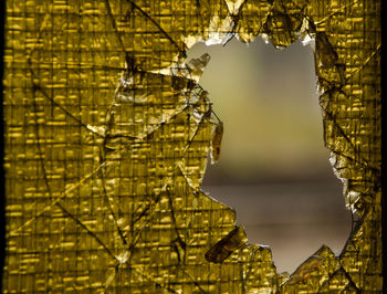 Close-up of shattered glass