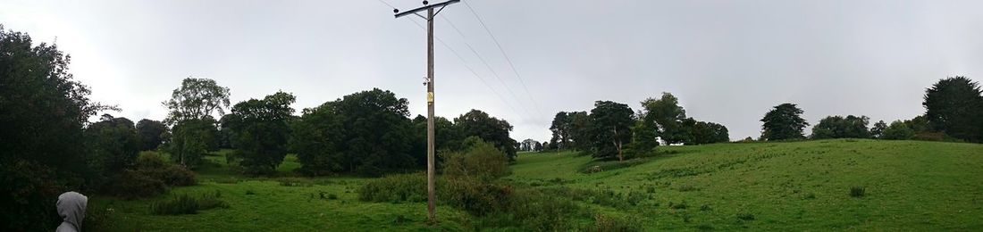 Panoramic view of trees on field against sky