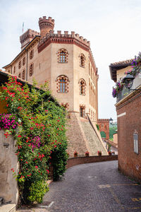 Low angle view of flowering plant against building