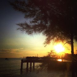 Silhouette of beach during sunset