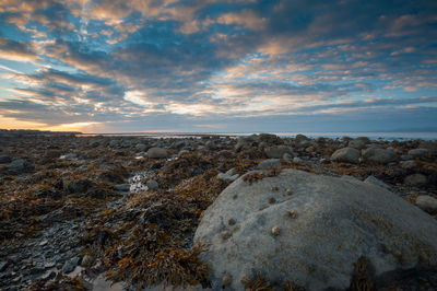 Rocks on shore at beach against sky during sunset