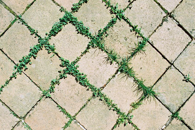 High angle view of chainlink fence on tiled floor