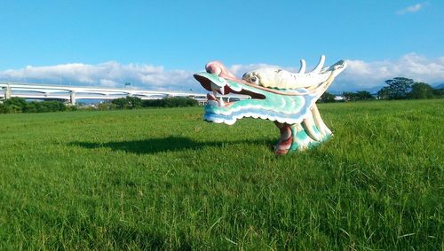 People standing on grassy field