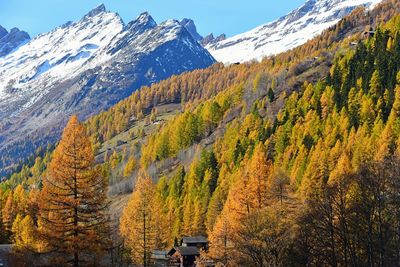 Scenic view of mountains against sky during autumn