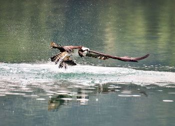 Men flying over lake