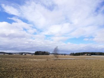 Scenic view of field against sky