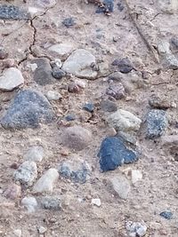 Full frame shot of rocks