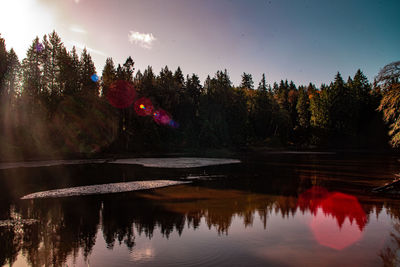 Scenic view of lake in forest against sky