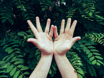 Close-up of human hand against tree
