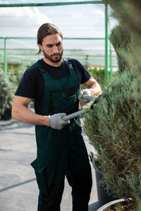 Male gardener shearing bushes in greenhouse