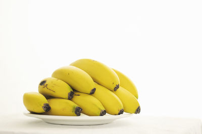 Close-up of fruits in plate against white background