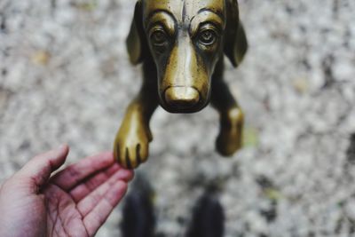 Cropped image of hand touching dog statue on floor