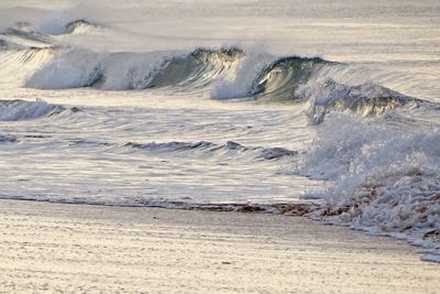 Scenic view of beach