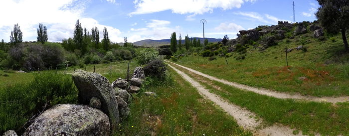 Road passing through field