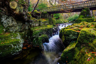 Stream flowing through rocks in forest