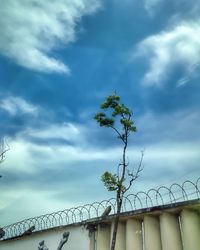 Low angle view of trees against cloudy sky