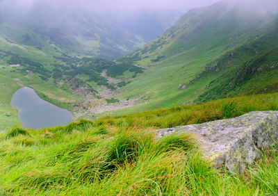 Scenic view of landscape