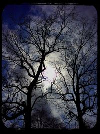 Low angle view of bare trees against sky