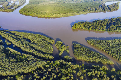 High angle view of agricultural field