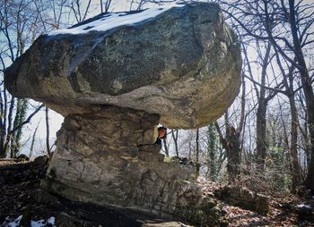 Man standing on rock in forest