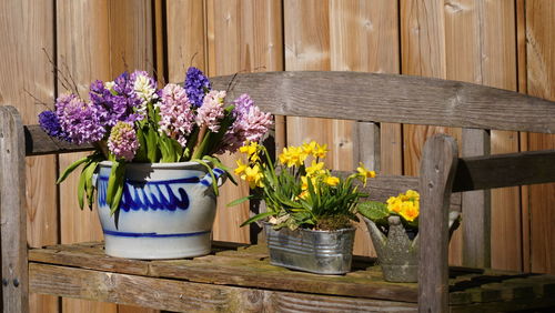 Flower vase and plants pots on bench