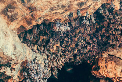 Close-up of rock formation in cave