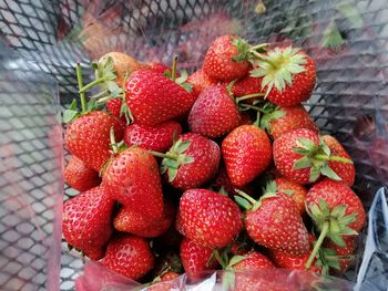 High angle view of strawberries