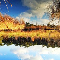 Reflection of clouds in lake